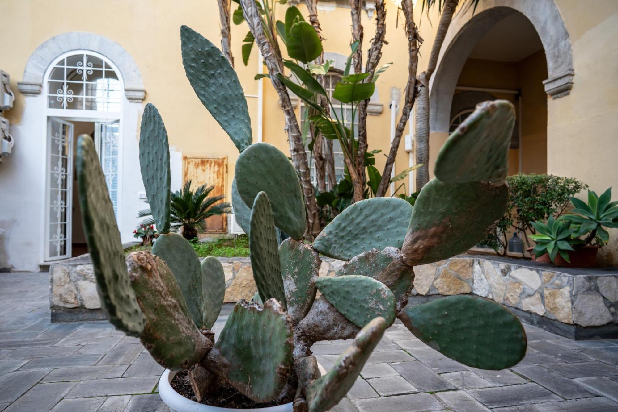 Casa Orchidea D'oro Holiday home Syracuse